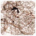 Hairnet Mirage Ultra-Invisible, Neutral,2 Net Per Pack [Pack of 12]