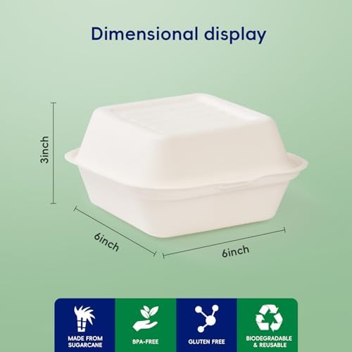 6" Sugarcane to go food containers, 1-Compartment Clamshell Food Containers - Image 2