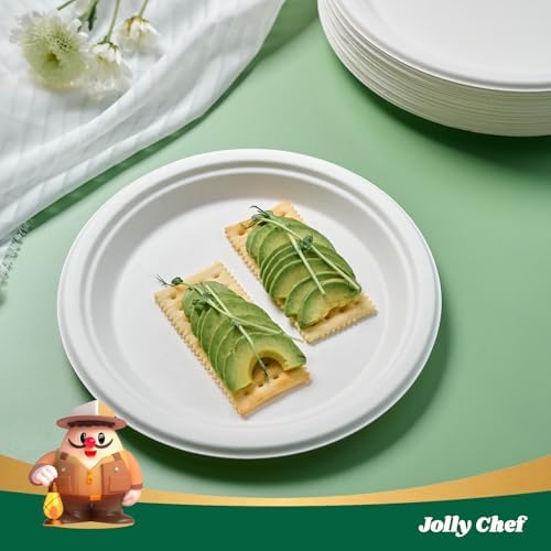 Compostable Heavy Duty 10 Inch 500 Pack Disposable Eco-Friendly Paper Plate - Image 4