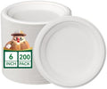 JOLLY CHEF Dessert Plates 6 Inch Paper Plates Compostable White 200 Pack by JOLLYCHEF