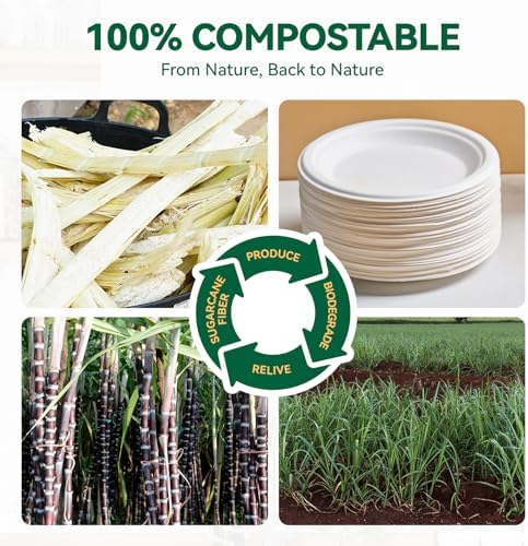 JOLLY CHEF 100% Compostable Small Paper Plates, 7.1" Heat Resistant Solid and Durable Plastic Forks Disposable - Image 3