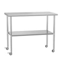 Stainless Steel Table with Wheels 24" x 48" Utility Worktable with Adjustable Undershelf for Commercial Kitchen, Garage, Restaurant