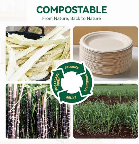 JOLLY CHEF Small Dessert Paper Plates 6 Inch 200 Pack Compostable Nature - Image 3
