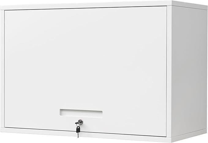 Yizosh Metal Wall Cabinet with Doors and Shelves, Floating Storage Unit for Garage or Basement (White, 21.6" H)
