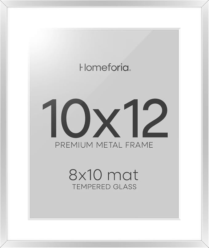 Homeforia 10x12 Picture Frame Silver, High End Metal 10x12 Frames with Mat 8x10, 10 x 12 Silver Poster Frame Matted to 8 x 10 inch Photo, 10by12 Thin Hanging Frames, Tempered Glass, Wall Kit, Set of 1