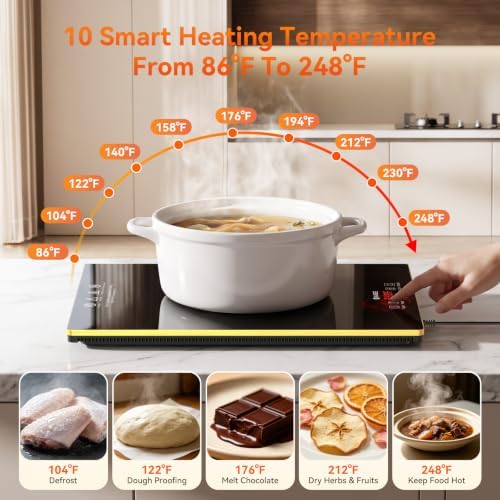 Commercial Electric Warming Tray for Buffet - Independent Temp 6 in 1 Black - Image 4