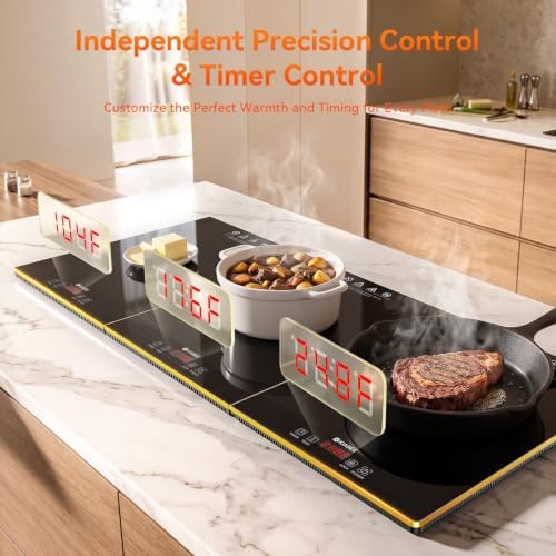 Commercial Electric Warming Tray for Buffet - Independent Temp 6 in 1 Black - Image 3
