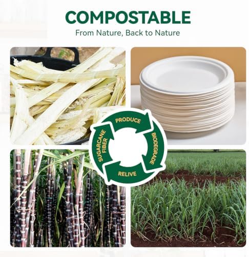 JOLLY CHEF Dessert Plates 6 Inch Paper Plates Compostable White 200 Pack - Image 3