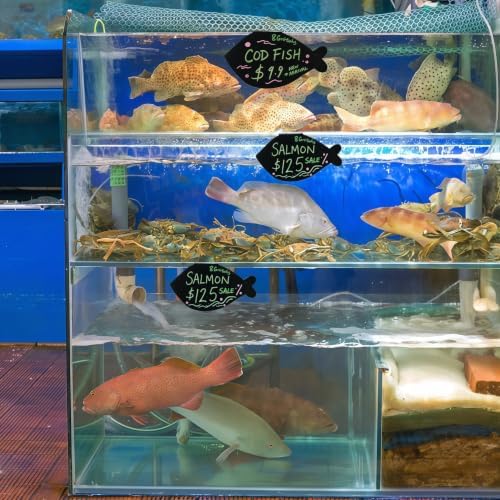 10PCS 1cm clip Fish Mini Chalkboard Signs, Reusable and Reserved Table Signs,Labels for Party Buffet, Easy to Write and Wipe Out, Catering Supplies Buffet Display，Ideal for Retail Pricing, Place Cards - Image 5