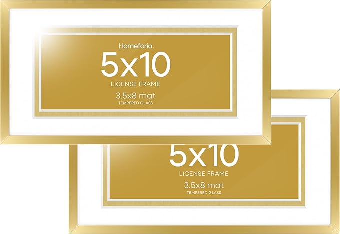 Homeforia 5x10 Business License Frame Gold, High End Metal 5 x 10 Document Certificate Frames with Mat 4x9, 5by10 Professional License Frame for Wall or Tabletop, Tempered Glass, Wall Kit, Set of 2