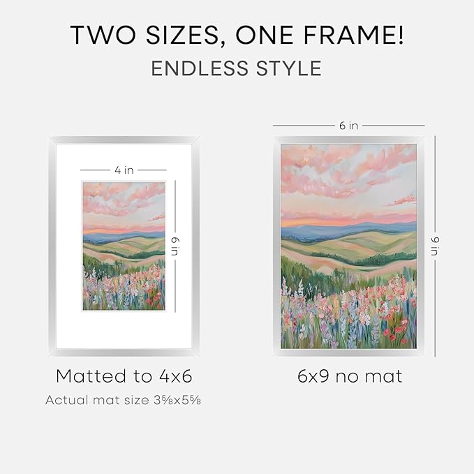 Homeforia Silver Photo Frame 6x9, High End Metal 6 x 9 Silver Picture Frames with Mat 4 x 6, 6by9 Desk Frame Matted to 4x6 inch Print, 6 by 9 Wall or Tabletop Frames, Tempered Glass, Wall Kit, Set of 3