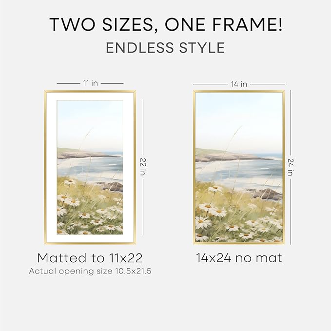 Homeforia 14x24 Picture Frame Gold, High End Metal 14x24 Poster Frames with Mat 11x22 Photo, 14 x 24 Gold Frame Matted to 11 by 22 Print, 24by14 Thin Hanging Frames, Tempered Glass, Wall Kit, Set of 2