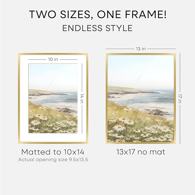 Homeforia 13x17 Picture Frame Gold, High End Metal 13x17 Poster Frames with Mat 10x14 Photo, 13 x 17 Gold Frame Matted to 10 by 14 Print, 17by13 Thin Hanging Frames, Tempered Glass, Wall Kit, Set of 3