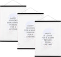 FALAMON 3 Pack Magnetic Poster Hanger Frame, 11x14 11x17 11x22 Magnet Poster Frame for Posters, Prints, Photos, Pictures, Maps, Scrolls, and Canvas Artwork (Black, 11")
