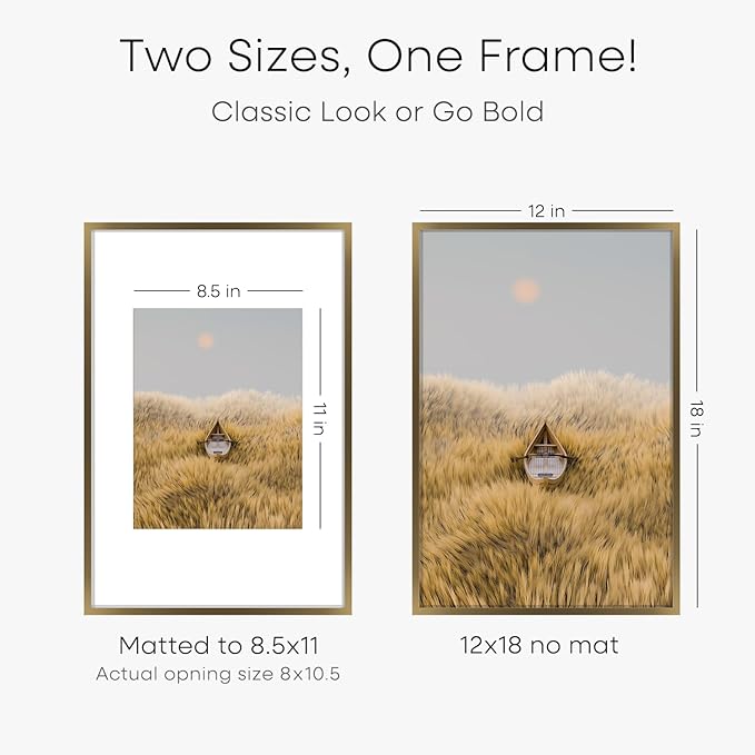 Homeforia 12x18 Bronze Picture Frame, High End Metal 12x18 Brass Poster Frames with Mat 8.5x11 Photo, 12 x 18 Frame Matted to 8.5 by 11 inch Print, 18x12 Thin Frame, Tempered Glass, Wall Kit, Set of 1