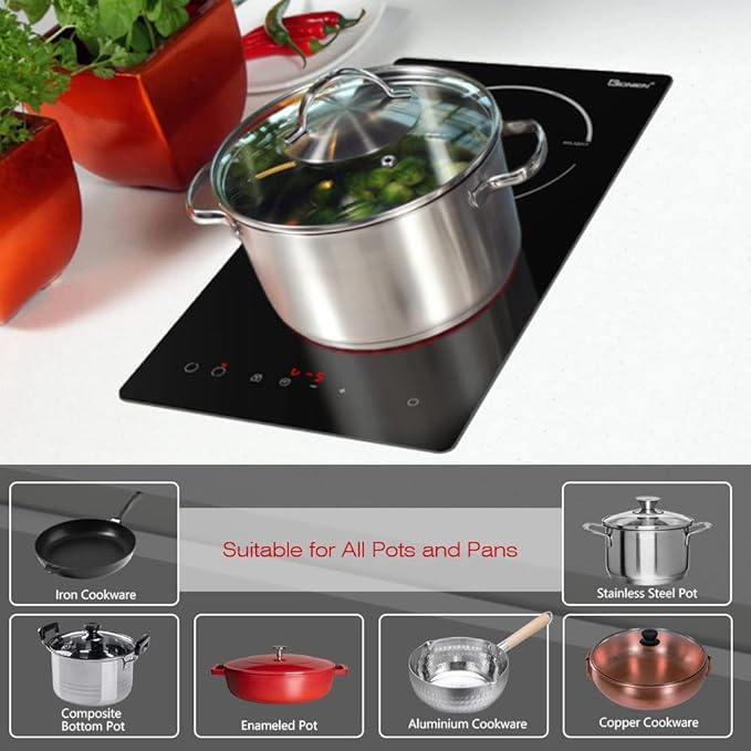 GIONIEN Electric Cooktop 2 Burners 220V~240V, Built-in 12 Inch Ceramic Burners, Double Glass Stove Top, Apartment Size Electric Radiant Cooktop with Hard Wire,3000W,No Plug