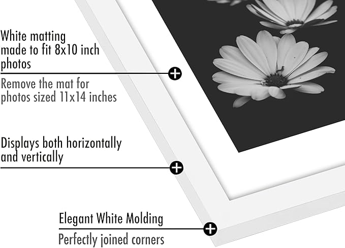 Americanflat 11x14 Picture Frame with Polished Plexiglass - Set of 5 - Use as 8x10 Frame with Mat or Display 11x14 Photo Without Mat - Galleria Collection - Picture Frames for Wall Display - White
