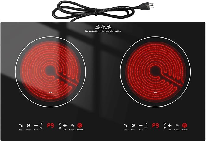 2400w Electric Cooktop, 24" Electric Stove 2 Burner Hot Plate Built-in Double Burner Cooktop with LED Touch Screen,9 Heating 9 Temperature,Kids Lock & Timer,Suitable for all Pans