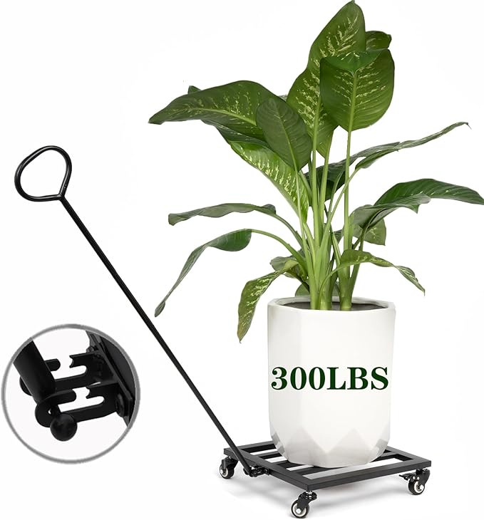 Heavy Duty Plant Caddy with Wheels 12Inch - 200lb Weight Capacity - Steel Rolling Plant Stand for Indoor and Outdoor Use - Lockable Wheels - Black