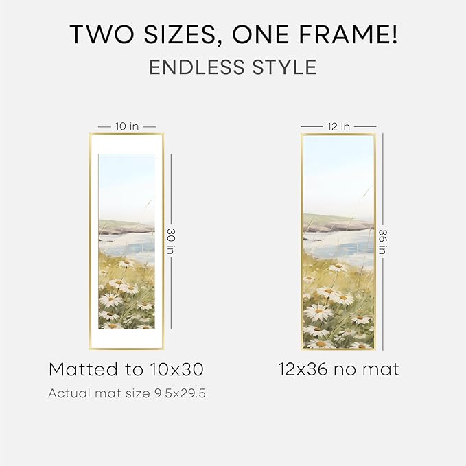 Homeforia 12x36 Picture Frame Gold, High End Metal 12x36 Poster Frames with Mat 10x30 inch Photo, 12 x 36 Gold Frames Matted to 10 by 30 Art, 36x12 Panoramic Frames, Tempered Glass, Wall Kit, Set of 1