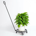 12 Inch Plant Dolly with Wheels - Heavy Duty Steel Rolling Planter Base, Patent Detachable Handle for 360° Swivel & Easy Indoor/Outdoor Movement of Pots, Caddies, and Large Planters