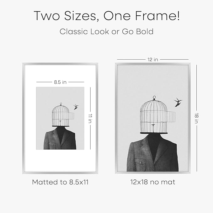 Homeforia 12x18 Silver Frame, High End Metal 12 x 18 Picture Frames with Mat 8.5 x 11 Photo, 18x12 Silver Poster Frame Matted to 11x8.5 Print, 18by12 Hanging Frames, Tempered Glass, Wall Kit, Set of 2