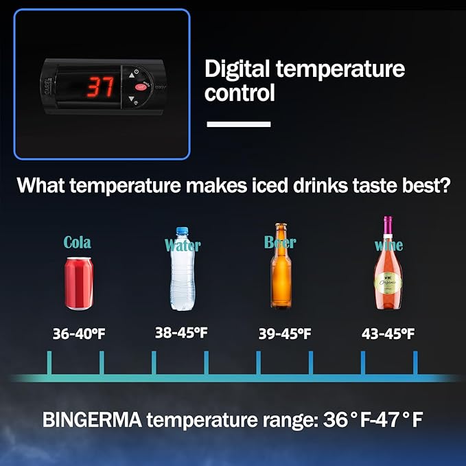 Commercial Merchandiser Display Refrigerator with 2 Glass Doors 30 Cu.ft Beverage Back Bar Cooler Black Drink Fridge for Convenience Stores, Supermarkets, Bars, Offices