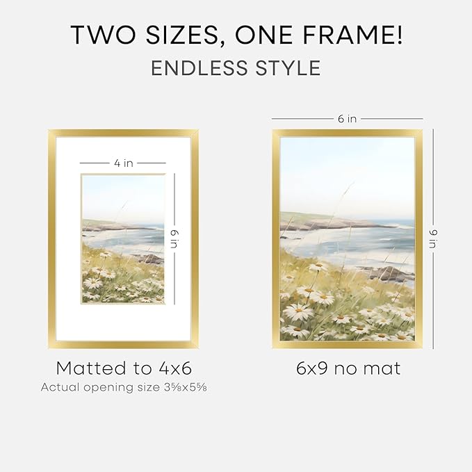 Homeforia 6x9 Picture Frame Gold, High End Metal 6 x 9 Frames with Mat 4 by 6 for Print, Photo Frame 6x9 Gold Matted to 4x6 inches Art, 6by9 Wall or Tabletop Frames, Tempered Glass, Wall Kit, Set of 1
