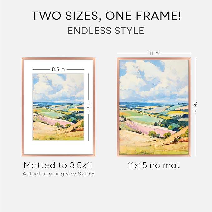 Homeforia 11x15 Picture Frame Rose Gold, High End Metal 11x15 Wall Hanging Frame with Mat 8.5x11, 11 x 15 Poster Frames Matted to 8.5 x 11 inch Photo, 11by15 Frames, Tempered Glass, Wall Kit, Set of 1