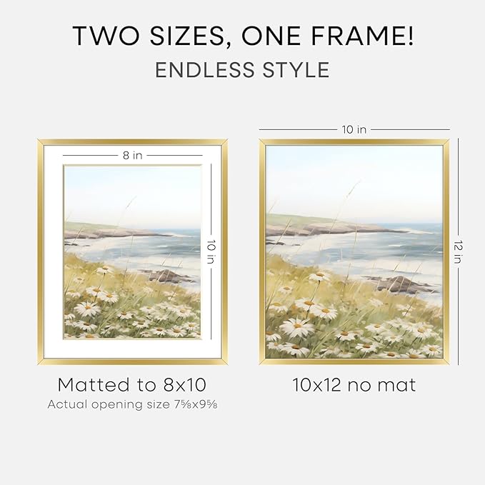 Homeforia 10x12 Picture Frame Gold, High End Metal 10x12 Poster Frames with Mat for 8x10, 10 x 12 Gold Frame Matted to 8 x 10 inch Photo, 10by12 Thin Hanging Frames, Tempered Glass, Wall Kit, Set of 2