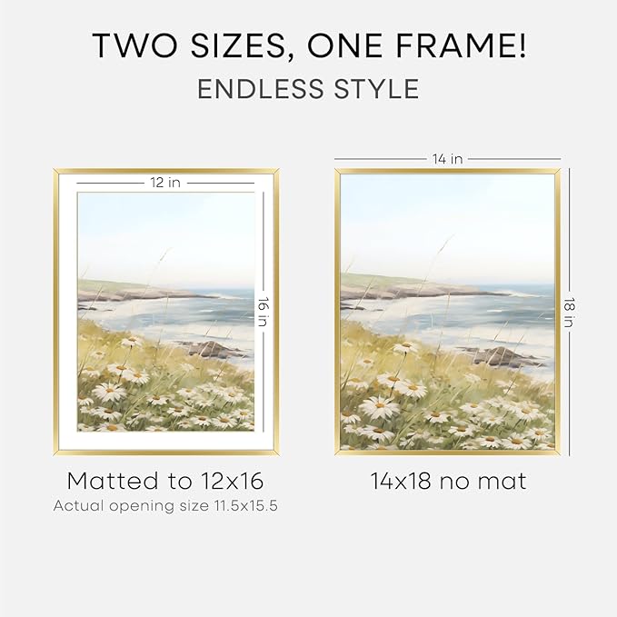 Homeforia 14x18 Picture Frame Gold, High End Metal 14x18 Poster Frames with Mat 12x16 Photo, 14 x 18 Gold Frame Matted to 12 by 16 Print, 18by14 Thin Hanging Frames, Tempered Glass, Wall Kit, Set of 3