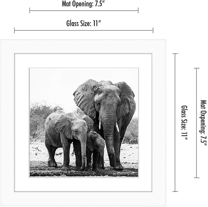 Americanflat 11x11 Picture Frame with Shatter-Resistant Glass - Use as 8x8 Frame with Mat or Display 11x11 Photo Without Mat - Signature Collection - Square Frames for Wall Display - White