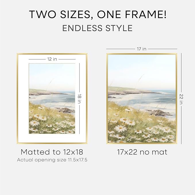 Homeforia 17x22 Picture Frame Gold, High End Metal 17x22 Poster Frames with Mat 12x18 Photo, 17 x 22 Gold Frame Matted to 12 by 18 Print, 22by17 Thin Hanging Frames, Tempered Glass, Wall Kit, Set of 3