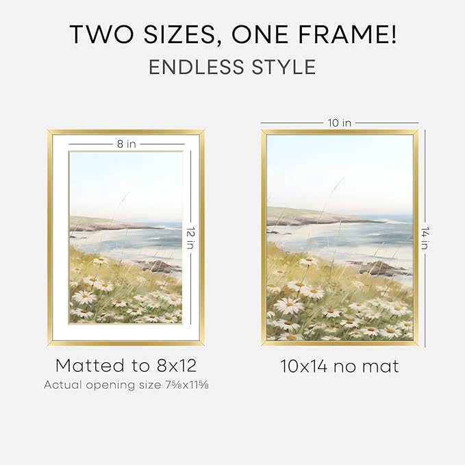 Homeforia 10x14 Picture Frame Gold, High End Metal 10x14 Poster Frames with Mat for 8x12, 10 x 14 Gold Frame Matted to 8 x 12 inch Photo, 10by14 Thin Hanging Frames, Tempered Glass, Wall Kit, Set of 2