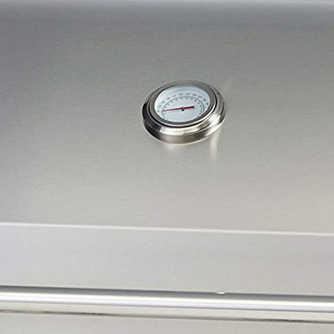 Bull Outlaw 30-Inch Built-In Grill (BG-26038), Propane