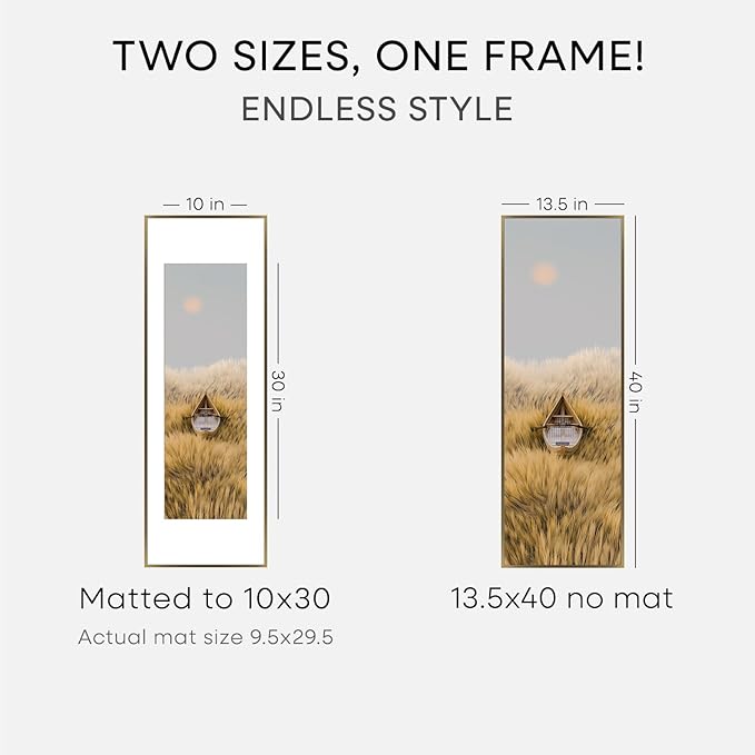 Homeforia 13.5x40 Panoramic Frame Bronze, High End Metal 13.5x40 Brass Picture Frames with Mat 10x30 Photo, 13.5 x 40 Poster Frame Matted to 10 by 30, 40x13.5 Frame, Tempered Glass, Wall Kit, Set of 2