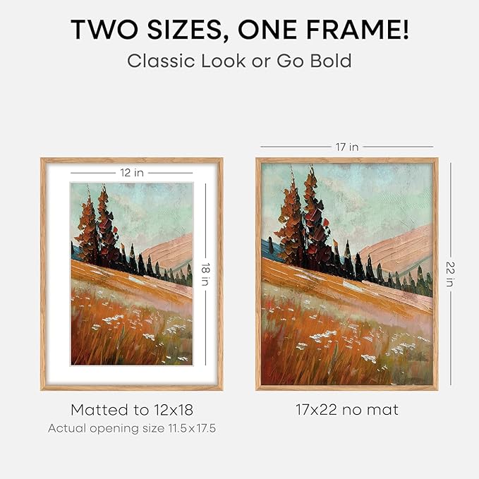 Homeforia 17x22 Picture Frame Natural Wood, High End Oak 17x22 Light Wooden Poster Frame with Mat 12x18, 17 x 22 Frames Matted to 12 x 18 Photo, 22x17 Hanging Frame, Tempered Glass, Wall Kit, Set of 2