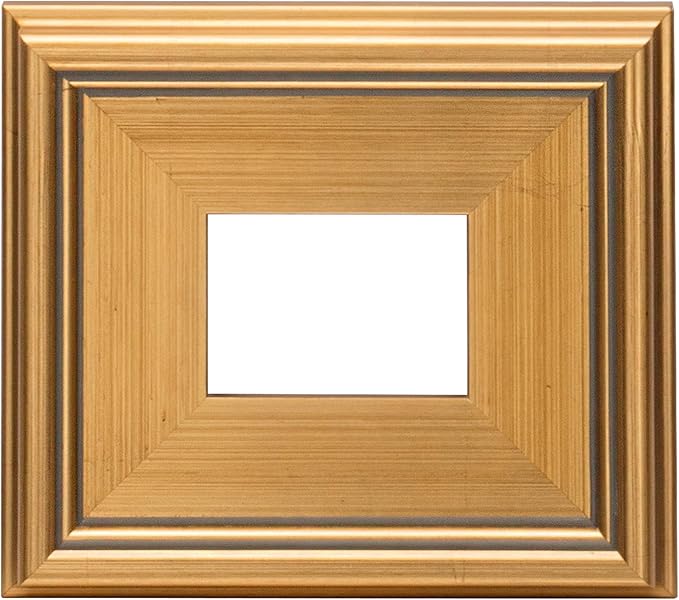Creative Mark Plein Air Style Frame, Hand Leafed Gold, 4x6-2.75" Wide Moulding with 1/2" Rabbet Depth, Open Back W/O Glazing, Museum Quality, For Art Panels, Stretched Canvas, Pictures & More