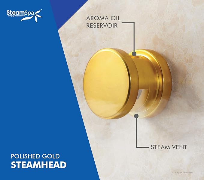STEAMSPA 12kW Steam Sauna Generator Sentry Series 240V Steam Generator with Touch Screen, Steamhead, Built-in Steam Shower Auto Drain, ACU Quickstart Steam Bath Generator (Gold)