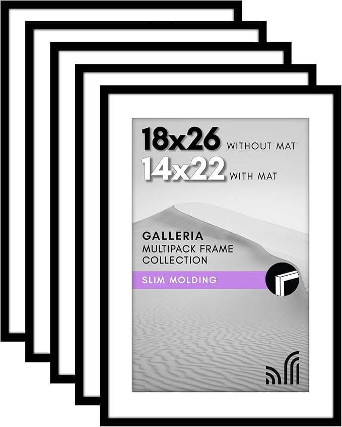 Americanflat 18x26 Poster Frame with Polished Plexiglass - Set of 5 - Use as 14x22 Frame with Mat or Display 18x26 Photo Without Mat - Galleria Collection - Picture Frames for Wall Display - Black