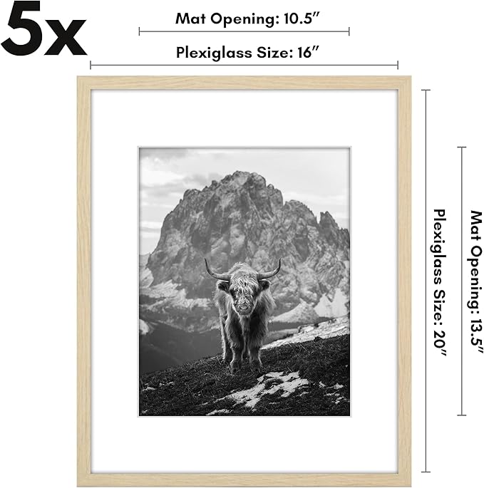 Americanflat 16x20 Picture Frame with Polished Plexiglass - Set of 5 - Use as 11x14 Frame with Mat or Display 16x20 Photo Without Mat - Galleria Collection - Picture Frames for Wall - Natural Oak