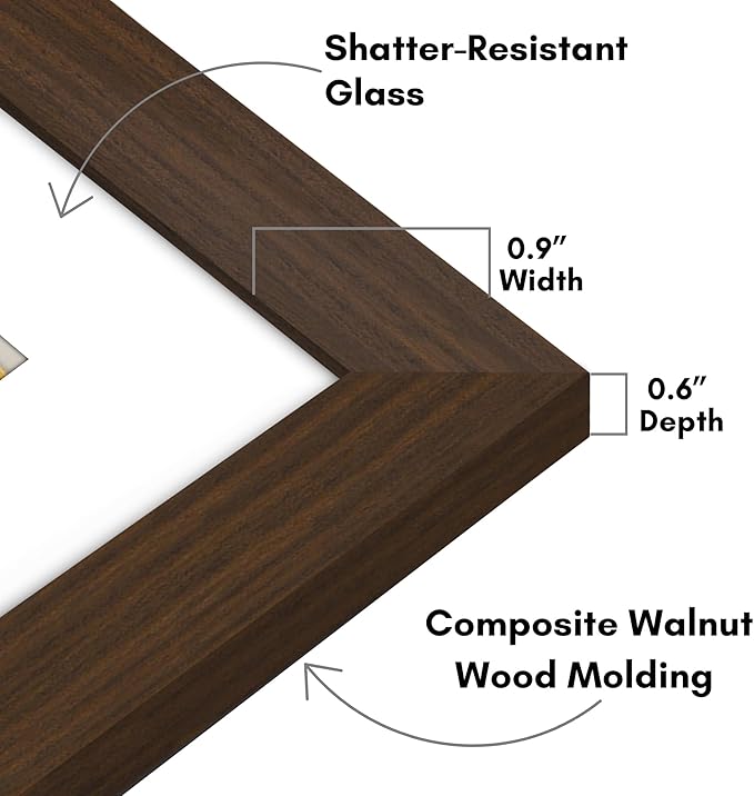 Americanflat 8x8 Picture Frame with Shatter-Resistant Glass - Use as 4x4 Frame with Mat or Display 8x8 Photo Without Mat - Signature Collection - Square Frames for Tabletop and Wall Display - Walnut