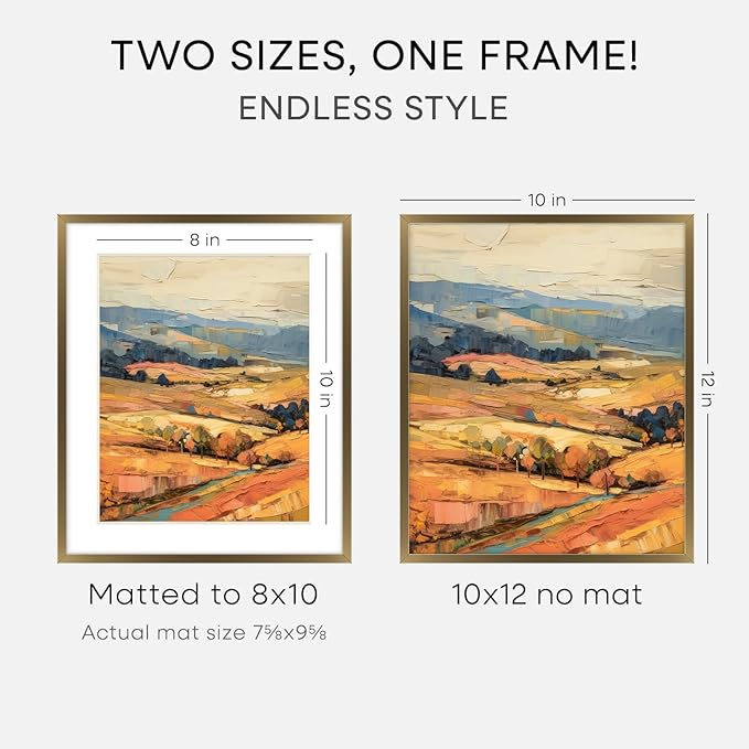 Homeforia 10x12 Bronze Picture Frame, High End Metal 10x12 Brass Frame with Mat 8x10, 10 x 12 Poster Frames Matted to 8 x 10 inch Photo, 10 by 12 Bronze Thin Frames, Tempered Glass, Wall Kit, Set of 2