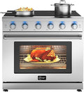 CT Copper Tailor 36 Inch Electric Range with Convection Oven,6.0 cu. ft. Capacity,5 Cooktop Elements, Freestanding Oven, in Stainless Steel