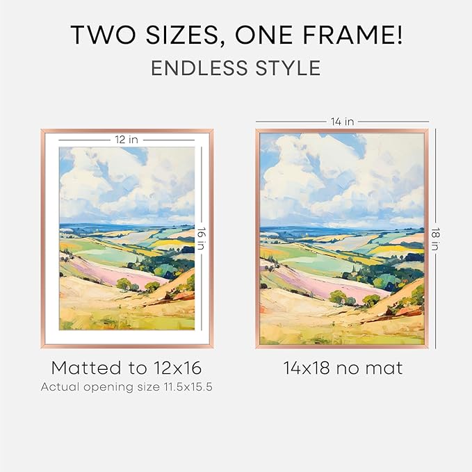 Homeforia 14x18 Picture Frame Rose Gold, High End Metal 14x18 Poster Frames with Mat 12x16 Photo, 14 x 18 Rose Gold Frame Matted to 12 by 16 Print, 18x14 Thin Frame, Tempered Glass, Wall Kit, Set of 1