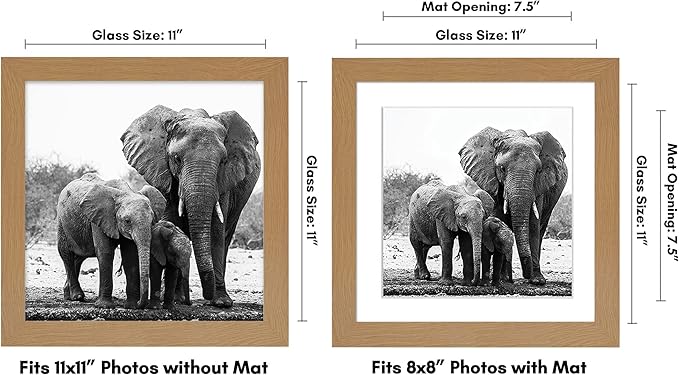 Americanflat 11x11 Picture Frame with Shatter-Resistant Glass - Use as 8x8 Frame with Mat or Display 11x11 Photo Without Mat - Signature Collection - Square Frames for Wall Display - Dark Oak