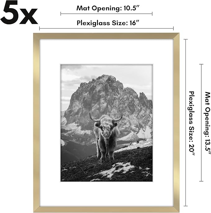 Americanflat 16x20 Picture Frame with Polished Plexiglass - Set of 5 - Use as 11x14 Frame with Mat or Display 16x20 Photo Without Mat - Galleria Collection - Picture Frames for Wall Display - Gold