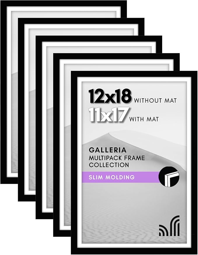 Americanflat 12x18 Poster Frame with Polished Plexiglass - Set of 5 - Use as 11x17 Frame with Mat or Display 12x18 Photo Without Mat - Galleria Collection - Picture Frames for Wall Display - Black