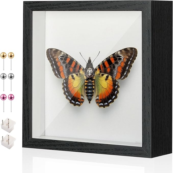 8x8 Shadow Box Display Case Picture Frame with Soft Linen Back,Large Deep Black Shadow Box 8x8 for Flowers Medal Display Case Jersey pet Graduation Memorabilia Baby Ltems Crafts Photos