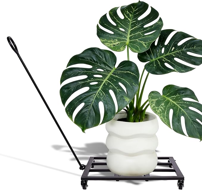 22 Inch Planter Caddies - Heavy Duty Plant Dolly with Wheels, Rolling Base for Indoor & Outdoor Pots, Perfect for Moving Large Planters, Trees, Barrels & More